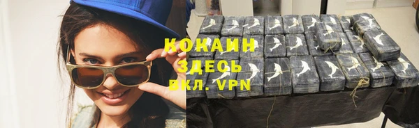 гидра Иноземцево