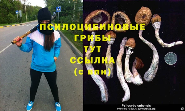 метадон Козельск