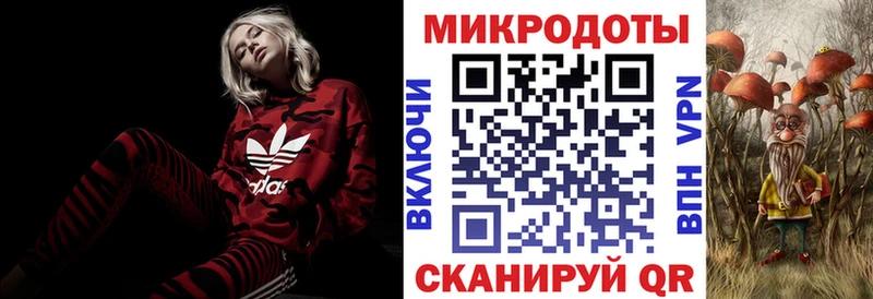 Псилоцибиновые грибы Cubensis  где найти   Новотитаровская 
