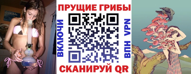 Галлюциногенные грибы мухоморы  гидра ONION  Новотитаровская  где купить наркоту 